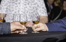 20250314-20250314-DSC_7637